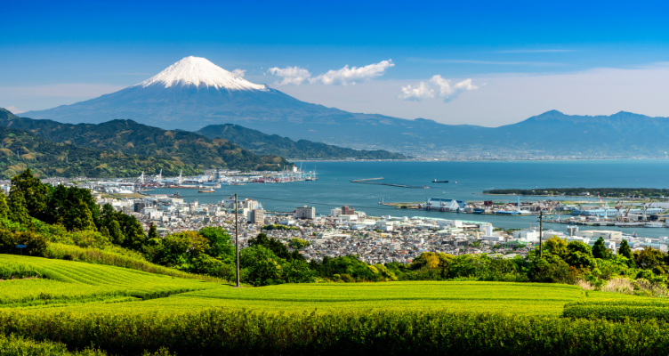 文化・芸術